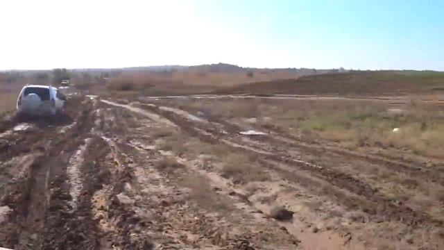 ПОКАТУШКИ Renault Scenic RX4 Vs ШНИВА/ ШНИВА на БЕЗДОРОЖЬЕ