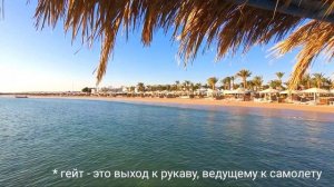 Первый полет Что делать Что нельзя брать в самолет Что брать в ручную кладь Провоз багажа ПЦР Египе