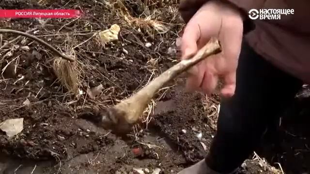 "Черные копатели" разоряют могилы смотреть онлайн