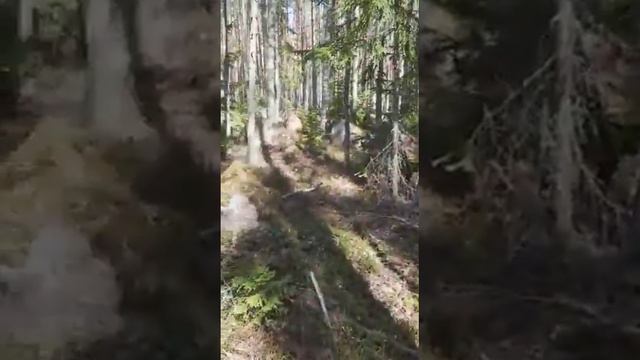 Противотанковая линия у Ладожского озера (Республика Кареия) смотреть онлайн