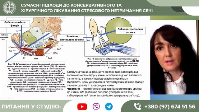 Сучасні підходи до консервативного та хірургічного лікування стресового нетримання сечі