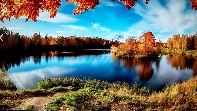 Золотая синева. Исполняет автор Анатолий Евсеенко смотреть онлайн