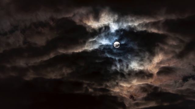 Алексей Мандельштам - Вечер спрятался сурово (Не улетай)