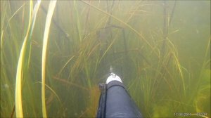 Открытие сезона 2017..