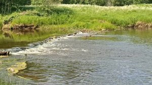 Посмотрите какая красота