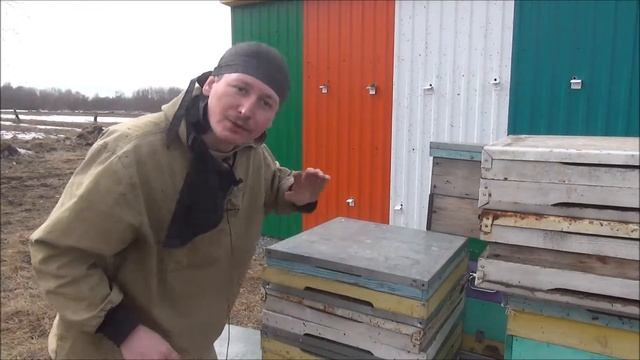 Весенняя подкормка пергой смотреть онлайн