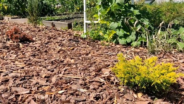 Преображение нашего участка за 4 года(2018-2021г)Продолжение следует..... смотреть онлайн