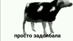 песня польской коровы на русском языке!