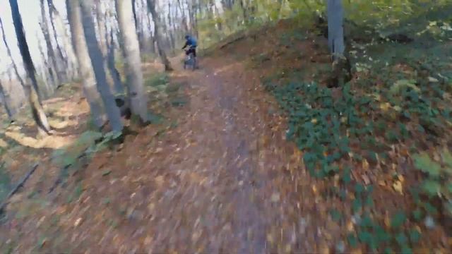 Ноябрь. Первый выезд в лес на новом велосипеде. смотреть онлайн
