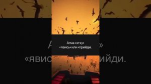 #агмы #вызовмужчины #вызовчеловека