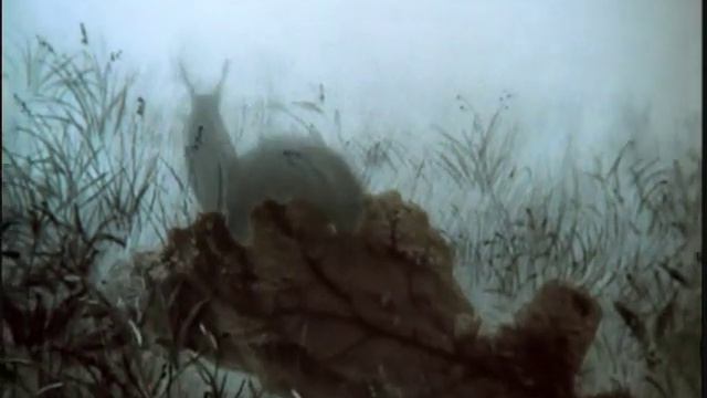 Эстрада 60-х. Вадим Монин и оркестр Эдди Рознера.