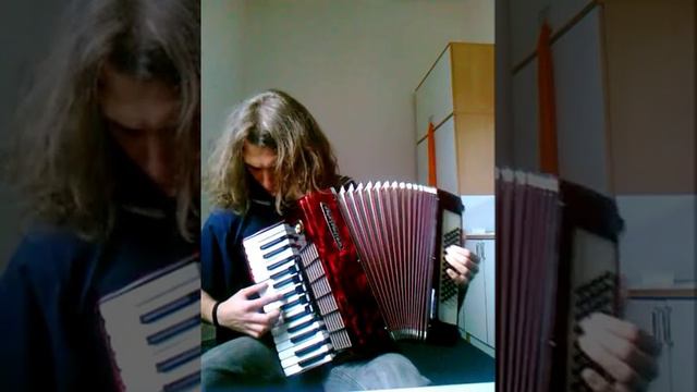 Rock around the clock accordion смотреть онлайн