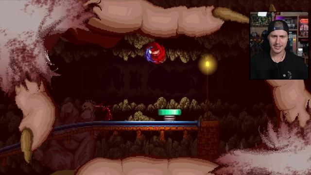 SONIC.EXE PROJECT X - FULL VERSION UPDATE (EVERYONE'S DEAD ENDING) смотреть онлайн