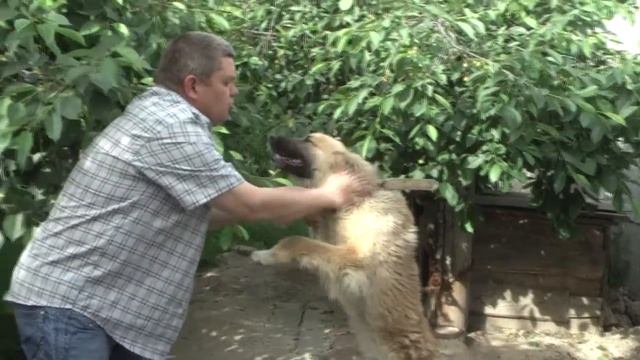 Тест видео камеры Panasonic AG-HMC74ER смотреть онлайн
