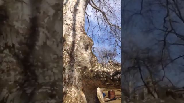 Весна идёт, весне дорогу смотреть онлайн