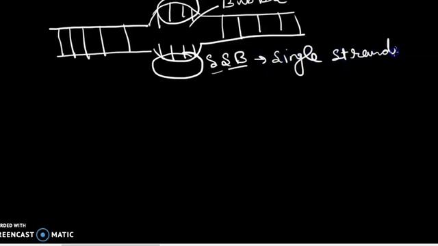 DNA REPLICATION (B.Sc., M.Sc., NET, NEET, GATE) смотреть онлайн