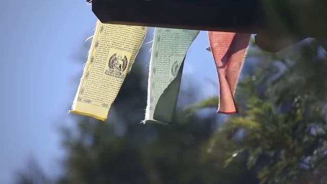 Вы есть сама тишина. Медитация с Муджи. Mooji, синхронный перевод смотреть онлайн