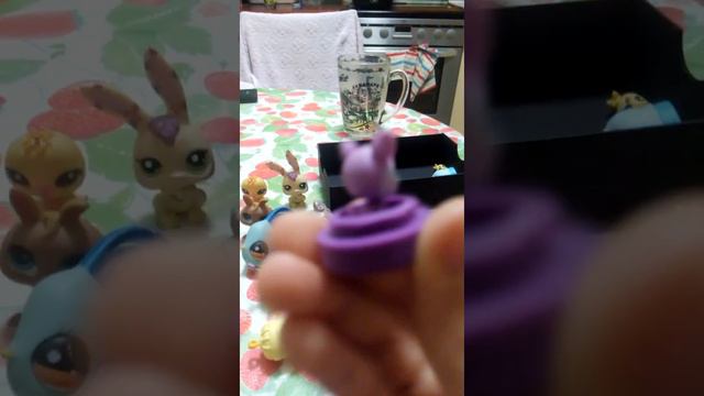 Все мои поэты и аксессуары смотреть онлайн