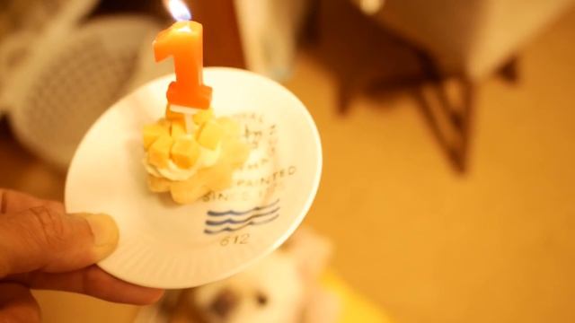 こうめさん1才の誕生日?しかし初めて食べた誕生日ケーキが… смотреть онлайн