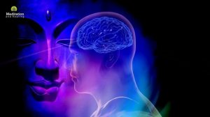 Удалить ментальные блокировки, очистить подсознательный негатив.