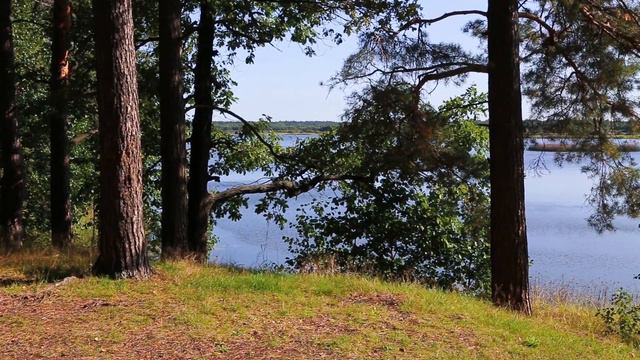 Пустынские озёра смотреть онлайн