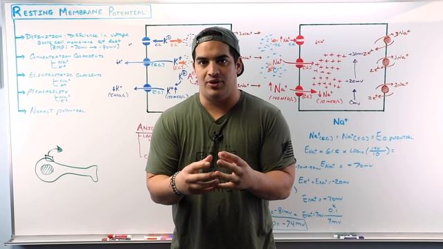 Ninja Nerd Science + Ninja Nerd Medicine = Ninja Nerd Lectures смотреть онлайн