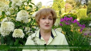 Тысячелистник - солдатская трава