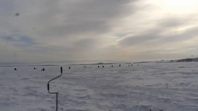 Чемпионат Селенгинского района по ловле рыбы на мормышку со льда 3 февраля 2018 года на озере Щучье смотреть онлайн
