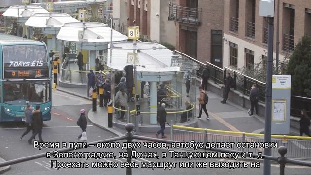 Расстояние между Куршской косой и Светлогорском: как добраться на автобусе смотреть онлайн