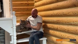 Прямой эфир 25 февраля