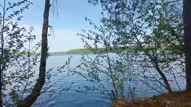 Обзор ОНЕЖСКОГО ОЗЕРА✨ УРОЗЕРО (ЧИСТОЕ ОЗЕРО).✨Республика Карелия!😍 смотреть онлайн
