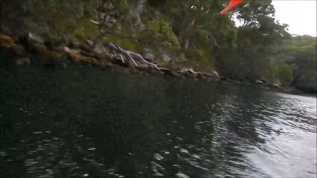 Kayak trolling motor in action "MUST SEE VIDEO" (達爾文釣魚日記 - 機動釣魚獨木舟) смотреть онлайн