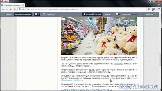 Развитие магазина детских игрушек