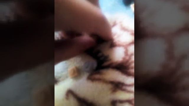 Как сделать телевизор из лего! смотреть онлайн