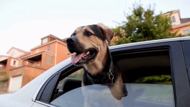 Что подарить мужу? Мужской подарок - чехлы из экокожи АВТОПИЛОТ и другие автотовары смотреть онлайн