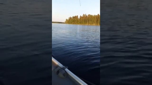 Ладожская щука смотреть онлайн