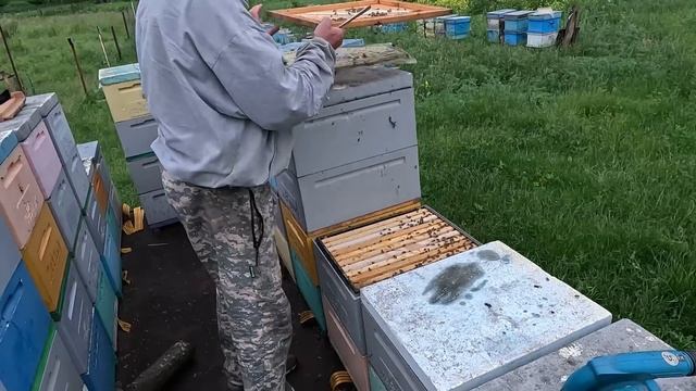 Отбор и откачка меда. Полный цикл. смотреть онлайн