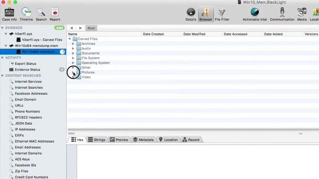 Sneak Peek: BlackLight 2016 R3 - Windows 8 & 10 Memory смотреть онлайн