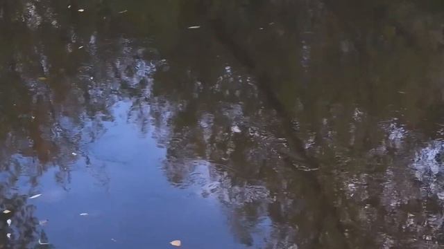 Парк Акведук (Fujifilm X-A7) смотреть онлайн