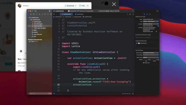 3# Working with Lottie Animations & UIKit | Introduction to Lottie Animations for Developers смотреть онлайн