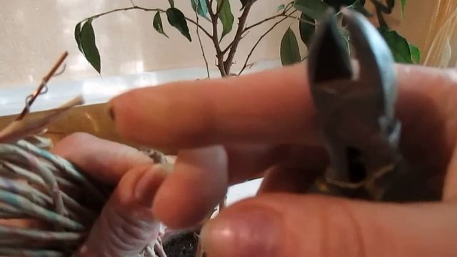 Формируем форму ствола фикуса. Form the shape of the trunk of ficus. смотреть онлайн