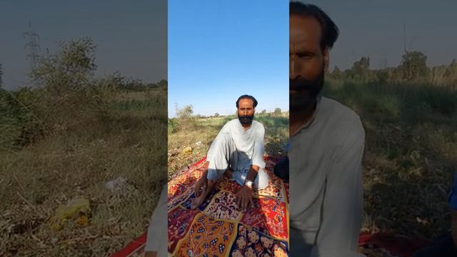 Rashid Minhas смотреть онлайн