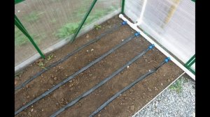 Капельный полив из полипропиленовых труб для теплицы