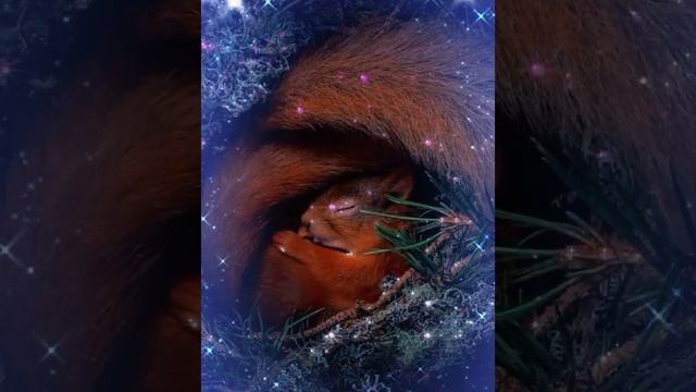 Доброй ночи и сладких снов! смотреть онлайн