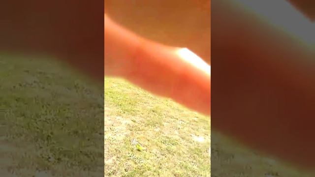 Fudbal mesi смотреть онлайн