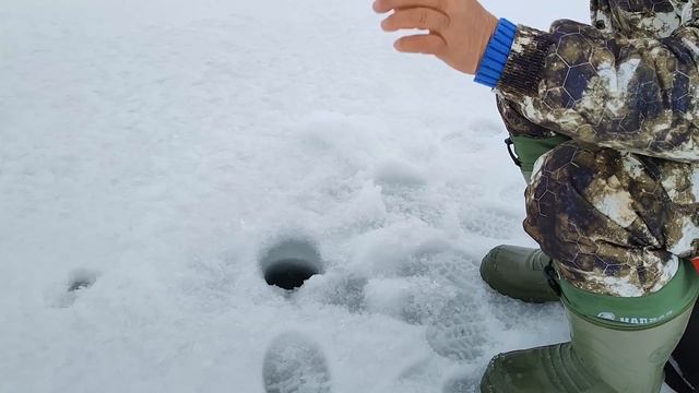 #shortsЗИМНЯЯ РЫБАЛКА 2022 - Зимняя рыбалка на окуня - Мормышка смотреть онлайн