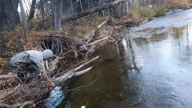 Рыбалка на хапуги мальма, кумжа, голец Горная речка смотреть онлайн