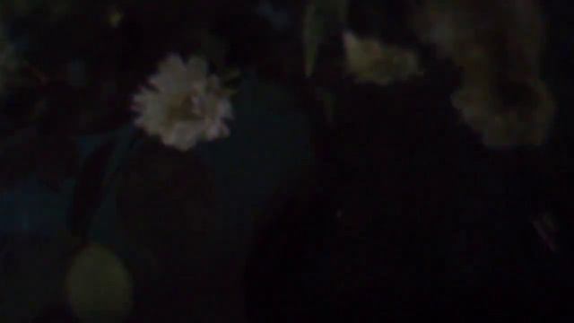 Ищу тебя (Всегда быть рядом не могут люди( к/ф''31 июня'')наброски) смотреть онлайн