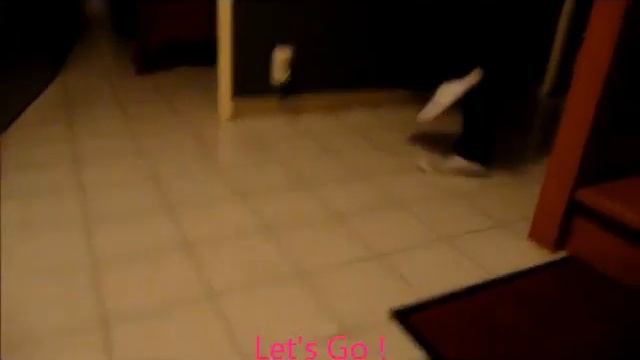 LMFAO- Party rock athem (every day i'm shufflin) смотреть онлайн
