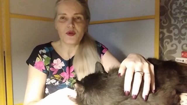 Мой любимый кот Филя ❤️❤️❤️❤️❤️❤️??? смотреть онлайн
